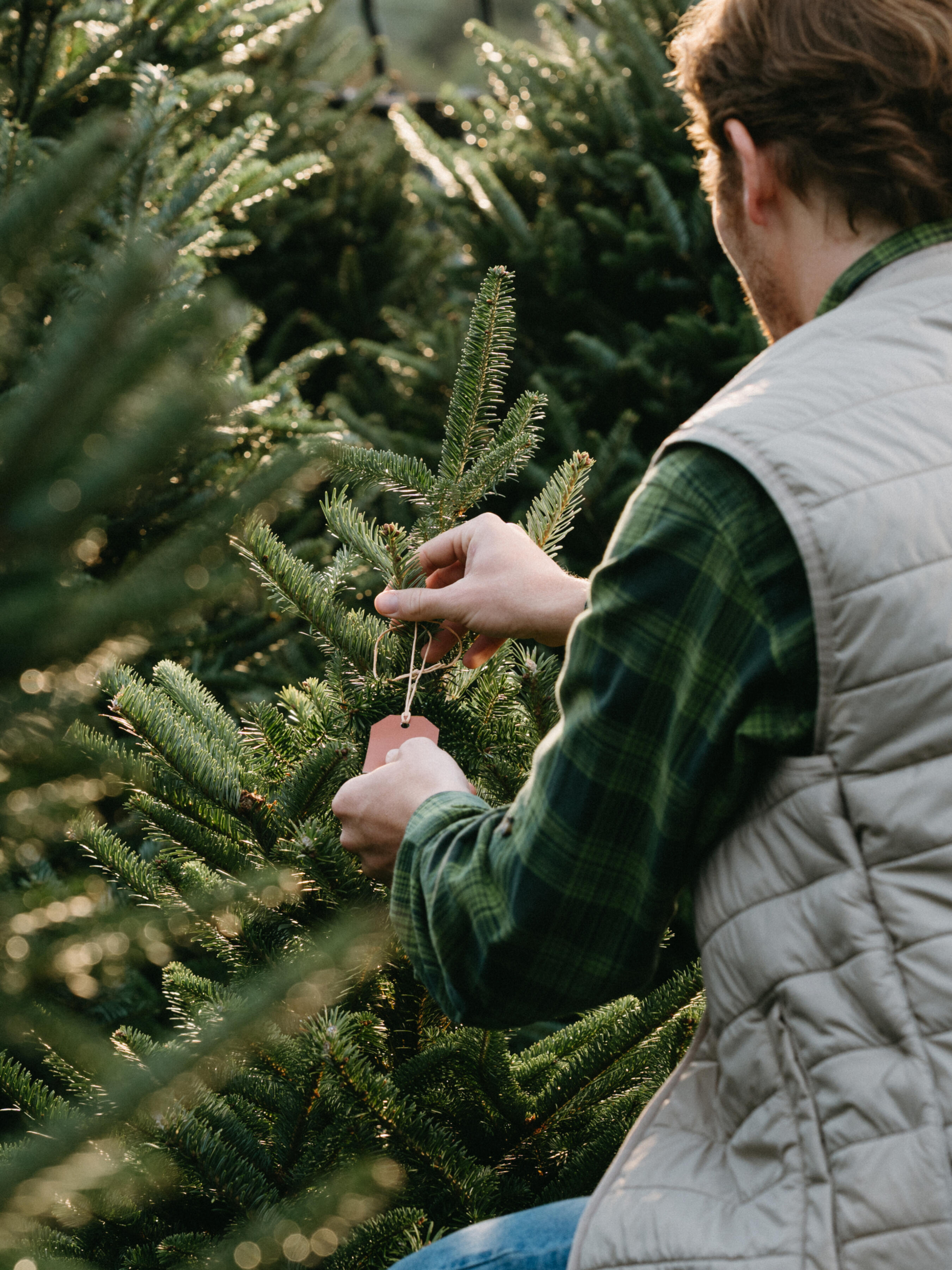 The Right Tree: The Home Depot Connects Customers with Growers Dedicated to Cultivating the Art of the Harvest